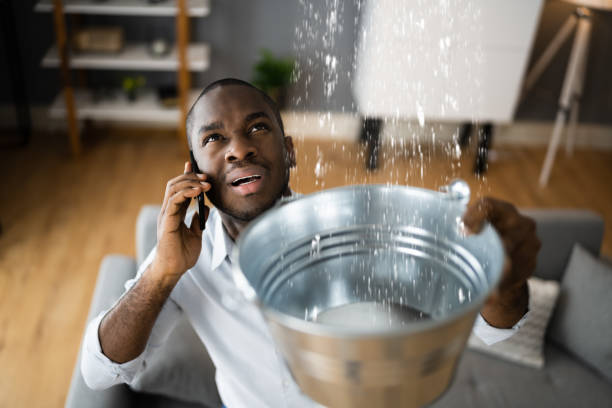 Best Basement water damage restoration  in Kaunakakai, HI