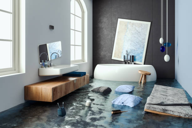 Water damage restoration mold remediation in Kaunakakai, HI