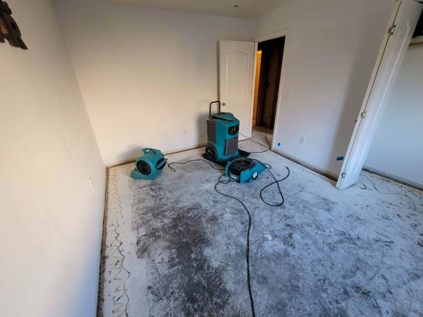 Best Water damage restoration mold remediation  in Kaunakakai, HI