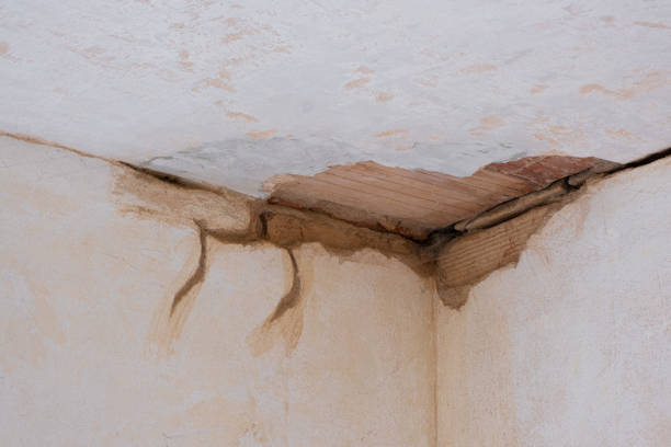 Best Ceiling water damage repair  in Kaunakakai, HI