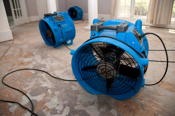 Reliable Kaunakakai, HI Water damage restoration Solutions