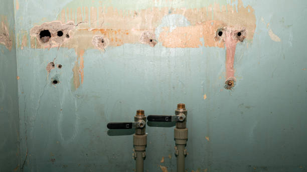 Best Water damage restoration near me  in Kaunakakai, HI