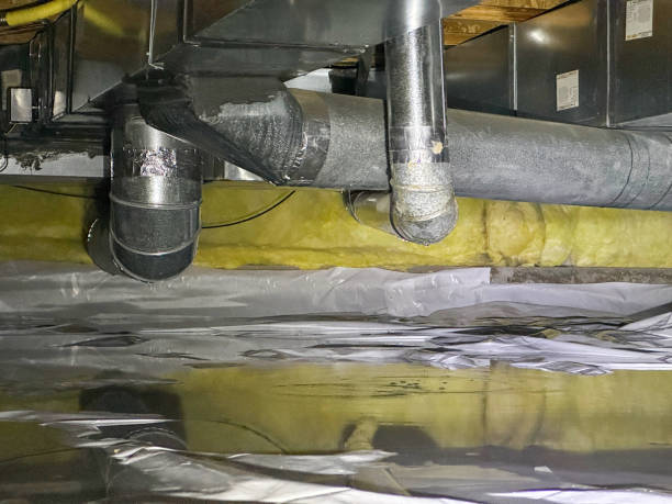 Best 24/7 water damage repair  in Kaunakakai, HI