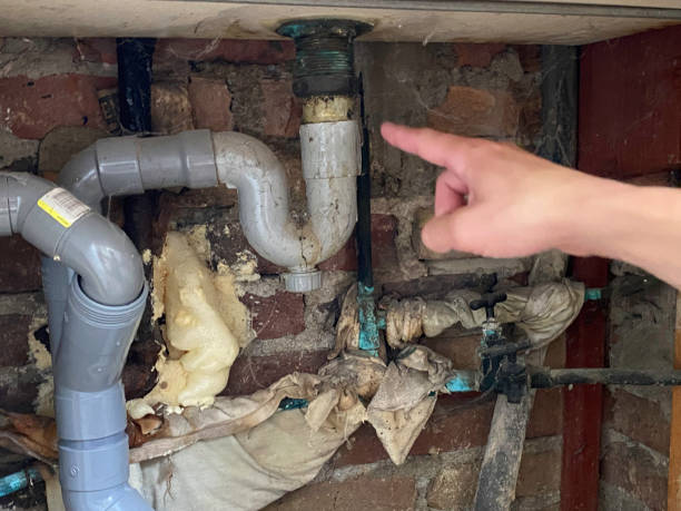 Best Residential water damage restoration  in Kaunakakai, HI